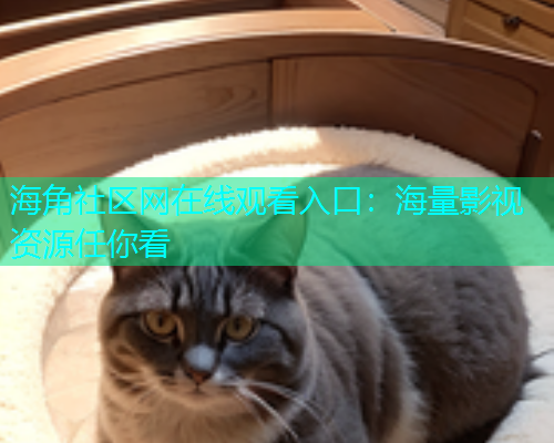 海角社区网在线观看入口：海量影视资源任你看  第1张