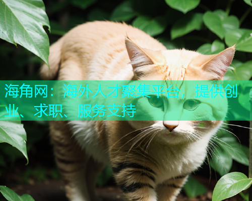 海角网：海外人才聚集平台，提供创业、求职、服务支持  第2张