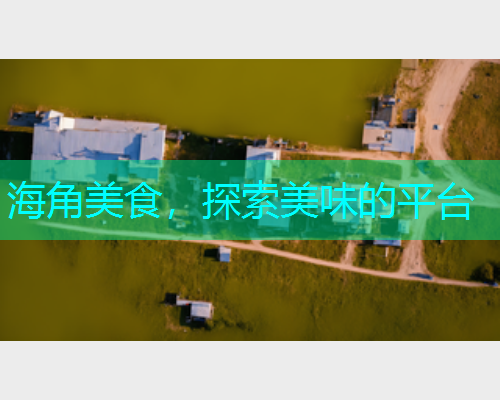 海角美食，探索美味的平台  第2张