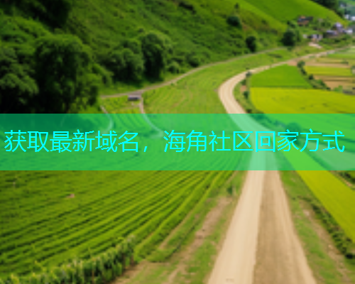 获取最新域名，海角社区回家方式  第1张