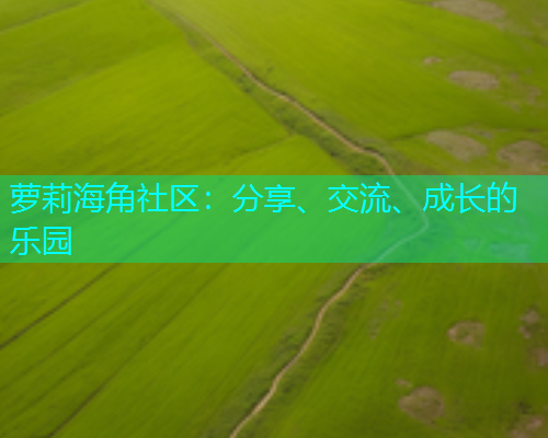 萝莉海角社区：分享、交流、成长的乐园  第1张