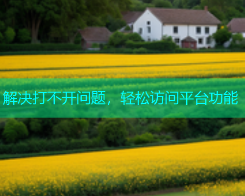 解决打不开问题，轻松访问平台功能  第1张