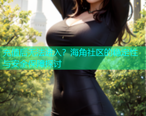 充值后无法进入？海角社区的稳定性与安全保障探讨  第1张