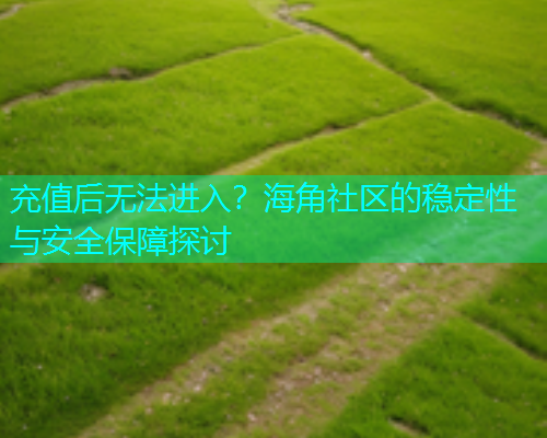 充值后无法进入？海角社区的稳定性与安全保障探讨  第2张