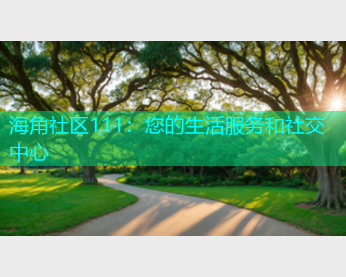 海角社区111：您的生活服务和社交中心  第1张