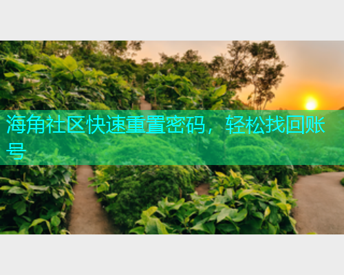 海角社区快速重置密码，轻松找回账号  第2张