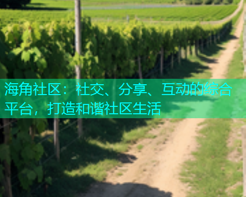 海角社区：社交、分享、互动的综合平台，打造和谐社区生活  第1张