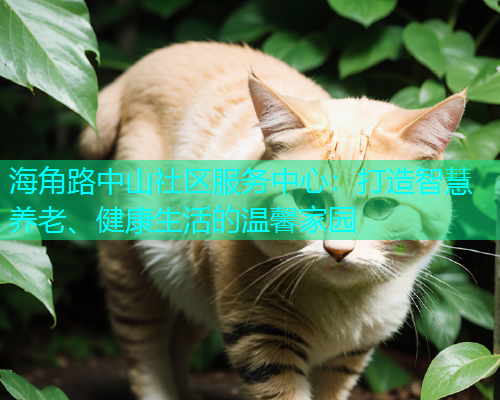 海角路中山社区服务中心：打造智慧养老、健康生活的温馨家园  第1张